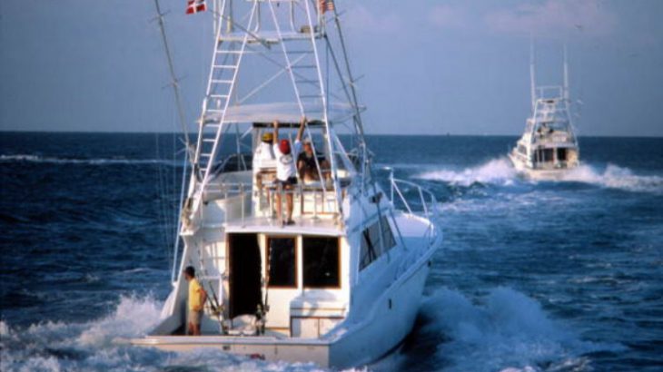 Blue Marlin Fishing