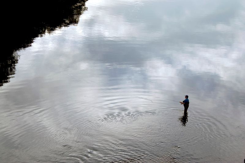 How To Catch Trout