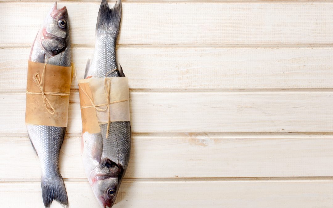 fishing gear for beginners