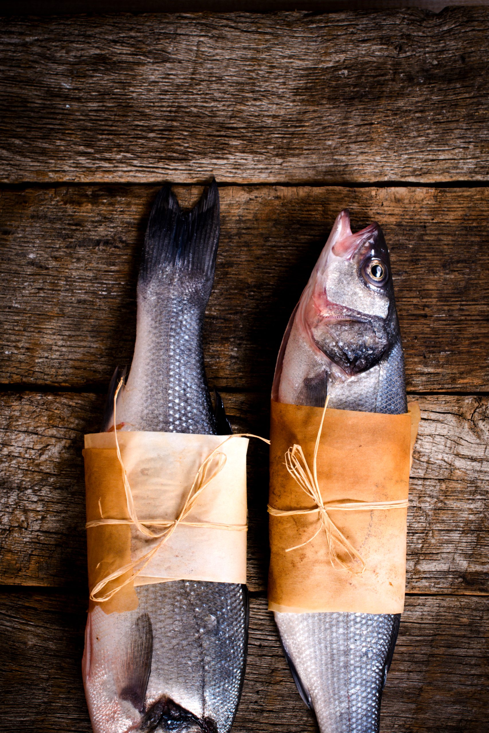 fishing for beginners