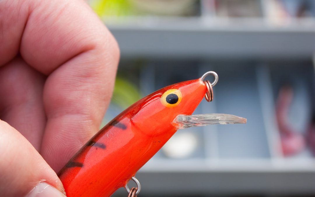 how to catch big fish
