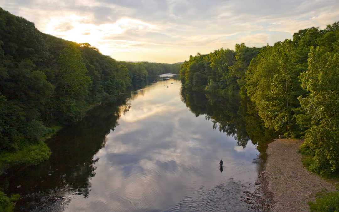 fishing gear for beginners