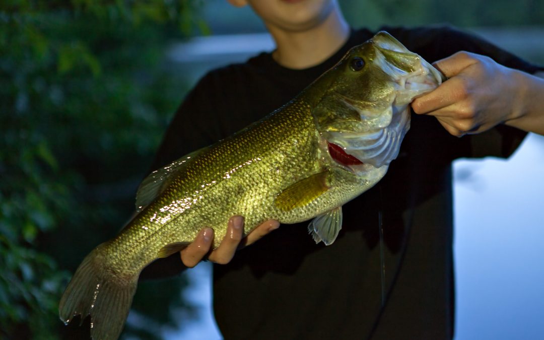 Top 10 Power Fishing Tips That Guarantee Success in 2025